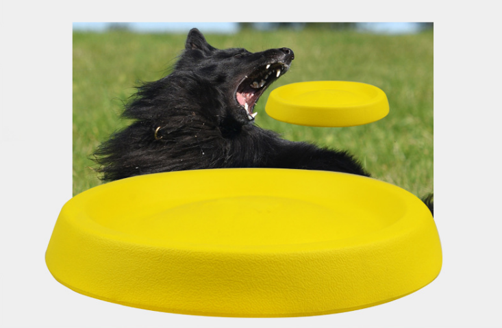 Plastic Throwing Toys for Pet Dogs