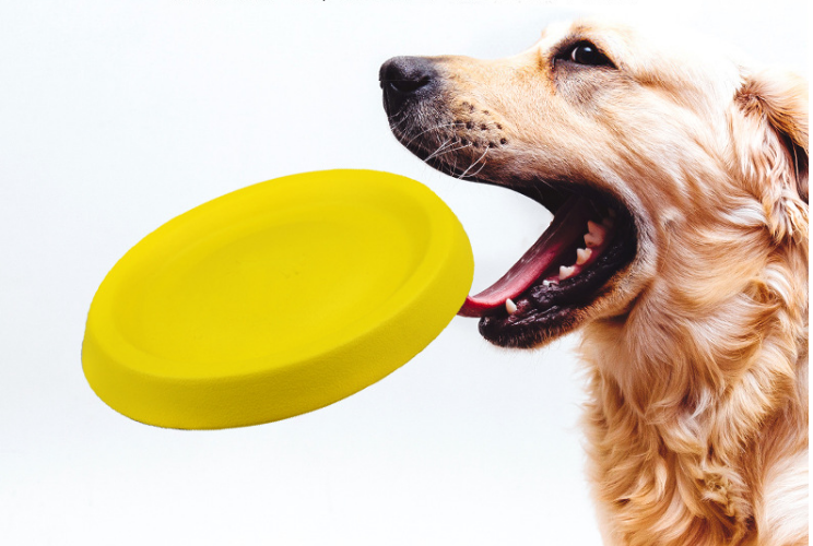 Plastic Throwing Toys for Pet Dogs