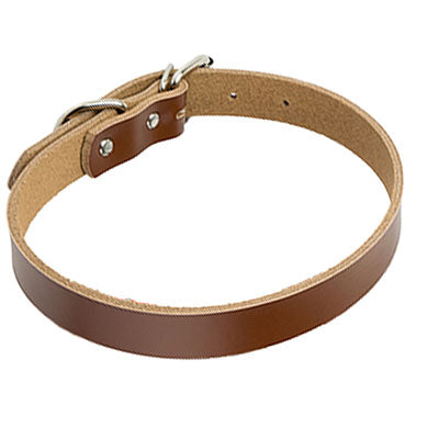 Leather dog collar dog chain